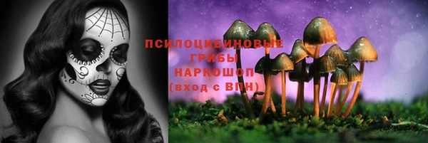 прущий лед Переславль-Залесский