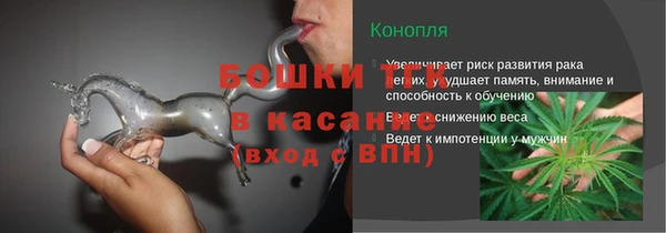 мдпв Верхний Тагил