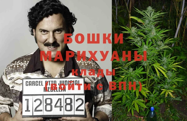 мдпв Верхний Тагил